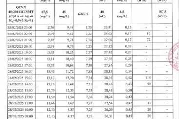 Công khai kết quả quan trắc chất thải tự động, liên tục - định kỳ tại KCN Châu Đức tháng 02 năm 2025